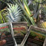 Pengendalian Hama dan Penyakit utama pada Nanas