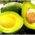 Budidaya Alpukat, Bag I – Panduan Lengkap Budidaya Alpukat