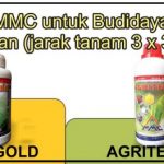 budidaya mangga bag – II , Pemupukan dan Pemangkasan tanaman Mangga