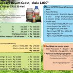 Analisa Usaha Budidaya Bayam Teknologi Organik MMC