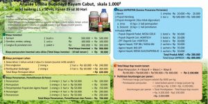 analisa usaha budidaya bayam