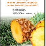 Modul Budidaya Nanas (Ananas Comosus)