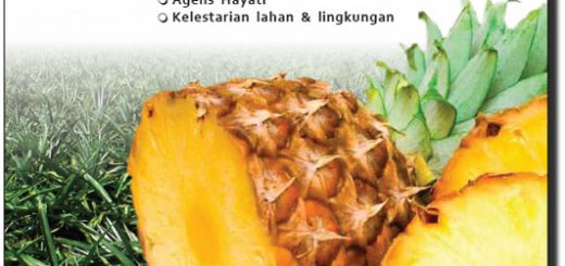 Modul budidaya nanas dengan teknologi MMC