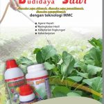 Modul Budidaya Sawi (Brassica Chinensis L.)