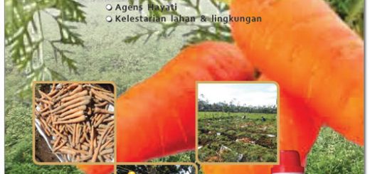 modul budidaya wortel dengan tenologi mmc