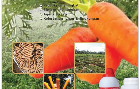 modul budidaya wortel dengan tenologi mmc