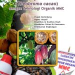 Modul Budidaya Kakao (Theobroma cacao)