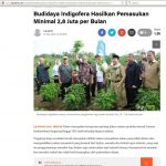 Budidaya Indigofera sebagai alternatif pakan ternak