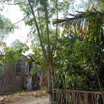 Jalan tanah menuju ke sebuah rumah dengan latar belakang pohon.