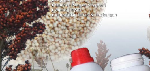 cover-modul-budidaya-sorghum-cantel-edisi-I-2018