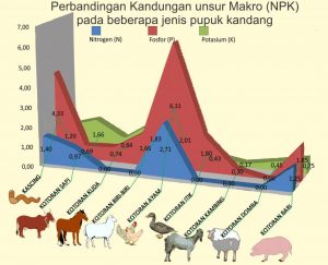 tabel kandungan unsur makro pada beberapa jenis pupuk kandang