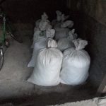 Cara Pembuatan Pakan Fermentasi Untuk Sapi