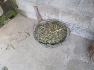 Pakan Sapi Yang Telah Difermentasi, Sudah Siap diberikan ke Sapi. 