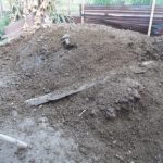 Tips Memilih skala usaha Budidaya dan Peternakan Sapi