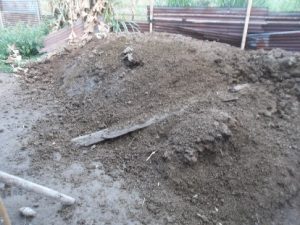 Kotoran Sapi yang Telah dijadikan Pupuk Kandang Yang siap diberikan ke Tanaman