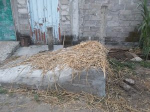 tangga permanen untuk menurunkan sapi dari kolt