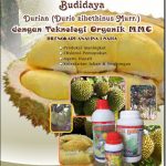 Modul Budidaya Durian (Durio Zibethinus Murr)