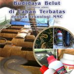 Modul Budidaya Belut (Monopterus Albus)