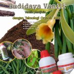 Modul Budidaya Vanili (Vanilla planifolia)