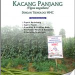 Modul Budidaya Kacang Panjang (Vigna unguilata)