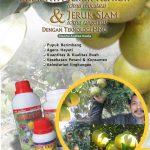 Modul Budidaya Jeruk Keprok (Citrus reticulata) & Jeruk Siam (Citrus Tangerina)