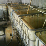 Budidaya Belut Bagian IV – ﻿Lingkungan Optimum Untuk Budidaya Belut