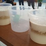 Cara Membuat VCO Dengan Teknologi Dingin – Arti VCO & Manfaatnya