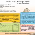 Analisa Usaha Ternak Puyuh