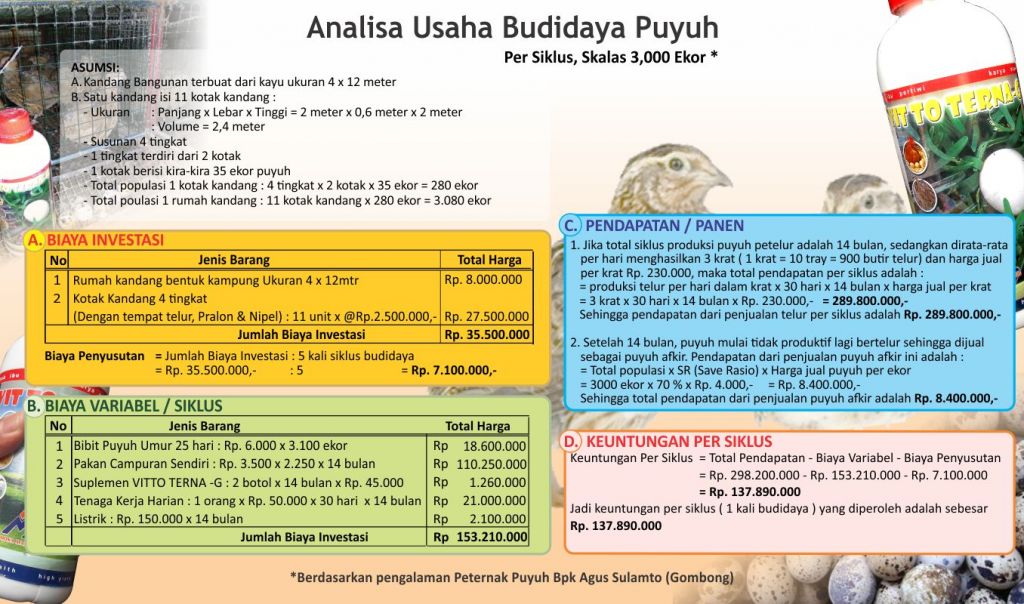 analisa usaha ternak puyuh