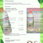 Analisa Usaha Penggemukan Kambing 100 hari, Skala 100 ekor