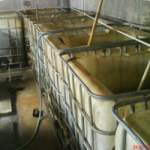 Budidaya Belut – Bag VI. Budidaya di Lahan Terbatas