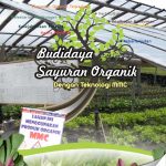 Modul Budidaya Sayuran Organik