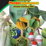 Modul Budidaya Mangga (Mangifera Indica L.)