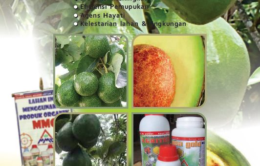 cover e-book panduan budidaya alpukat