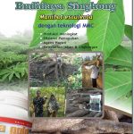 Modul Budidaya Singkong / Ketela Pohon (Manihot utilissima)