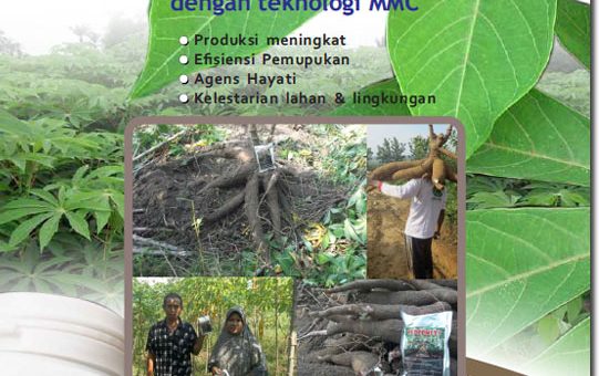 cover modul budidaya singgong / ubi kayu / ketela pohon