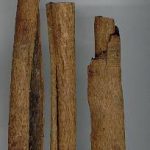 Manfaat Kayu Putih untuk Mengobati Bercak Daun Pada Tanaman Hias