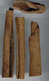 Kayu manis, kayu manis padang