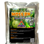 Budidaya Pepaya Merah Delima Dengan Teknologi Organik – Pengendalian Hama Kutu Tanaman