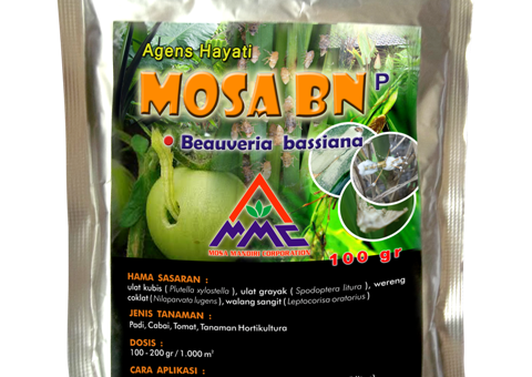 agens hayati MOSA BN produksi mosa mandiri untuk pengendalian wereng, walang sangit, belalang dll