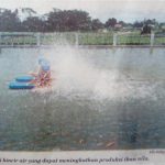 Kliping-KR : Budidaya Ikan Nila, Hasilkan Keuntungan Berlipat