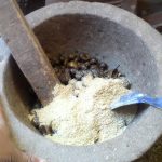 Cara Mengolah Keong Sawah Untuk Pakan Bebek