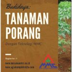 Modul Budidaya Porang dengan teknologi MMC (September 2019)