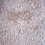 Pemanfaatan Mikoriza sebagai Pupuk Hayati dalam Pertanian