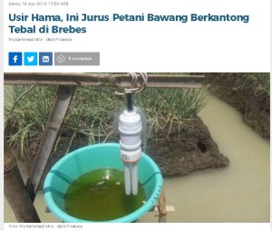 Kliping - detik finnace- senin 18 april 2016 -muhammad idris - usir hama ini jurus petani bawang berkantong tebal di brebes