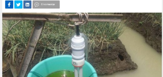 Kliping - detik finnace- senin 18 april 2016 -muhammad idris - usir hama ini jurus petani bawang berkantong tebal di brebes