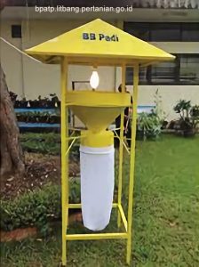 Perangkap hama lampu 100 watt- dipasang pada ketingian 150-250 cm dengan hasil tangkapan mencapai 400 ribu ekor per malam
