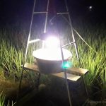 perangkap serangga dengan perangkap lampu atau light trap bisa dibuat sendiri dengan bahan bahan yang mudah didapatkan