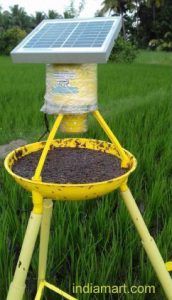 perangkap serangga dengan perangkap lampu yang memanfaatkan tenaga matahari untuk menghidupkan sinar lampunya