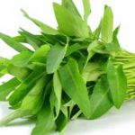Kangkung (Ipomoea aquatica)